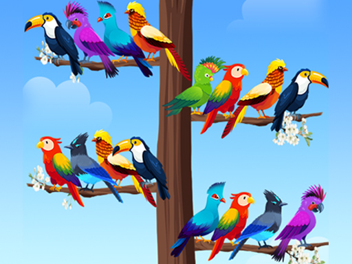 Juego de rompecabezas para clasificar aves
