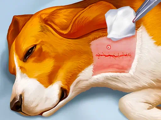 Juego de hospital para perros