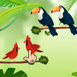 Juego de clasificación de aves